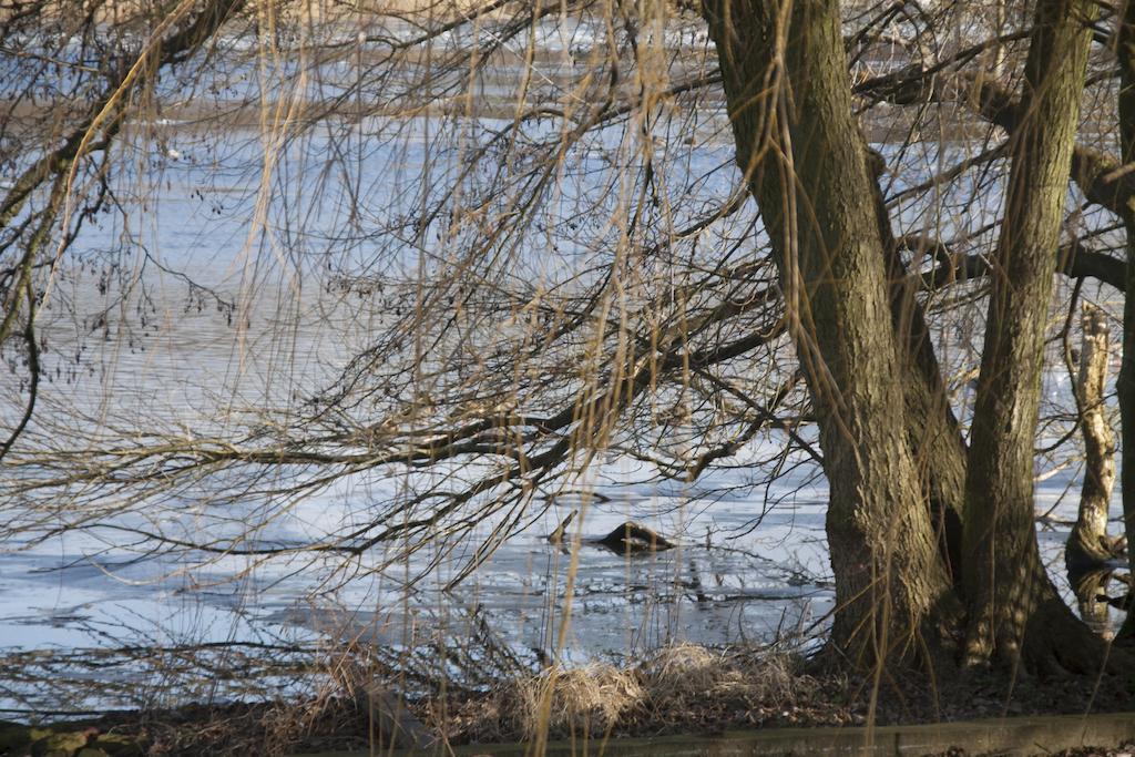 Villa Weissensee Potsdam Eksteriør bilde